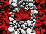 Canadian Flag