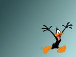 Daffy