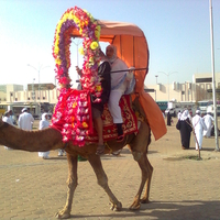 A view in the Holy city of Makkah