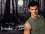 Jacob Black Breaking Dawn