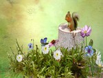 Squirrel on a Stump