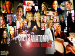 GA - Arizona Robbins