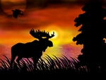 Moose at sunset
