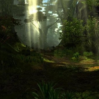 Aqua Painting Dark Wood