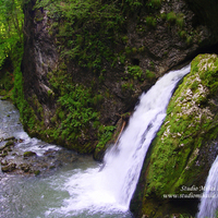 Cascada Valea Galbenei