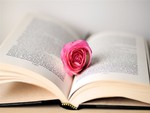 Rose in the Book