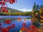 Moose Pond And Mount Pleasant In Autumn Maine