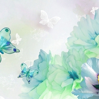 Butterflies and Flowers