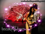 Breaking Dawn with light