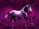 Beautiful purple unicorn