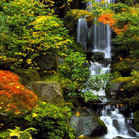 Autumn Waterfall