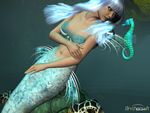 Mermaid and seahorse
