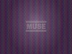 Muse