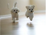 Jumping Dogs