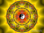 yin yang