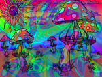 Psychedelic Mushrooms