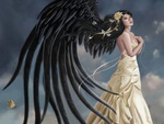 Black wing angel