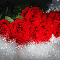 â™¥áƒ¦ Lovely red roses for my DN friends áƒ¦â™¥