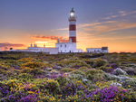 Lighthouse at sunset