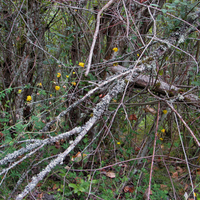 Death and the next generation