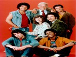 TV SERIES WELCOME BACK KOTTER
