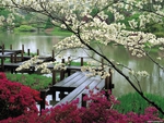 Japanese Garden
