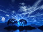 Blue Night Time