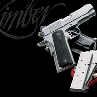 Kimber 1911 pro carry 45acp