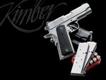 Kimber 1911 pro carry 45acp