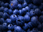 sweet blueberries