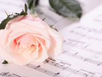 Rose and lovely music