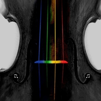 True Colors of the Violin