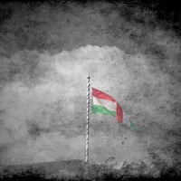 Hungarian Flag