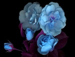 Blue Roses with Purple stems