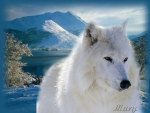 White Wolf