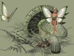 Mushroom Fairy
