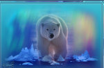 Polar Aurora