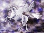 Winged Unicorn