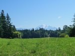 Mount Baker Summer Day