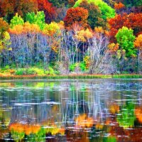 Lakeside Reflections in Autumn