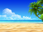 Tropical Beach