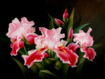 Beautiful Pink flower in Painting