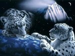 White tigers art