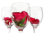 rose in the glass