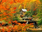 Autumn mill