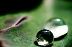 water drops