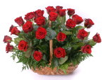 Red roses