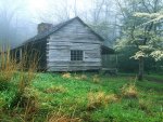 Rugged Old Cabin