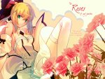 Saber Roses