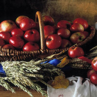 Harvest Basket Still Life